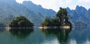 Image theginhousewimborne.co.uk 1490 1746279953472